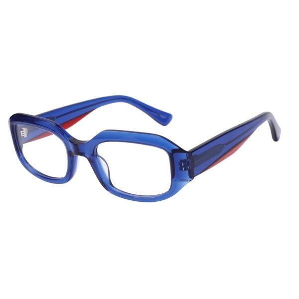 Acetate Optical Frame RGH23017 C4