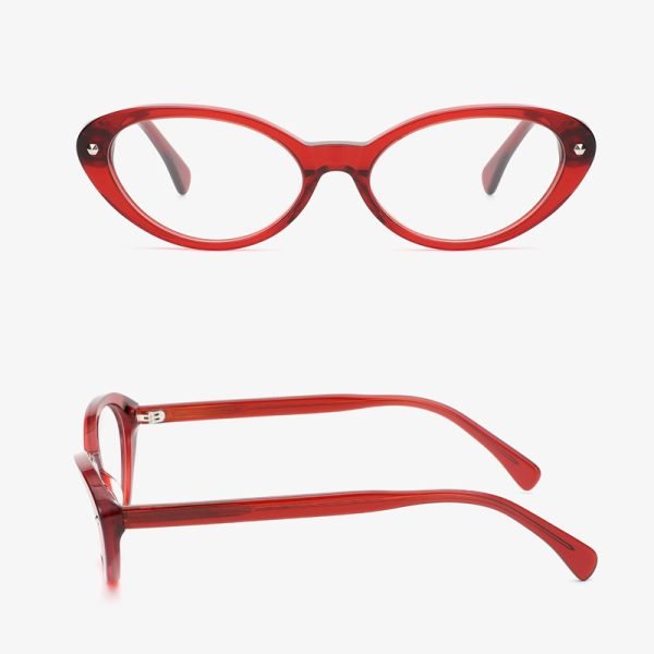 Acetate optical frame 2025 13