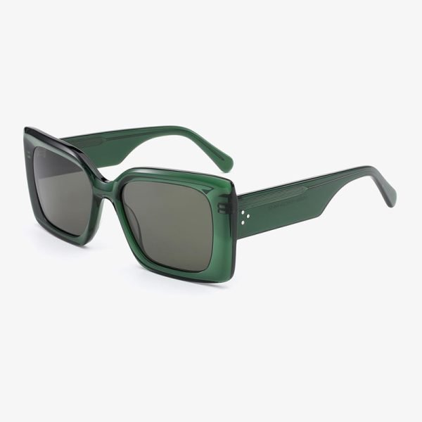 Acetate sunglasses 2025 19S C3