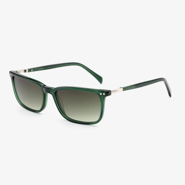 Acetate sunglasses 2025 33S C2