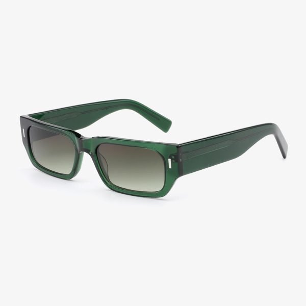 Acetate sunglasses 202503 S C2