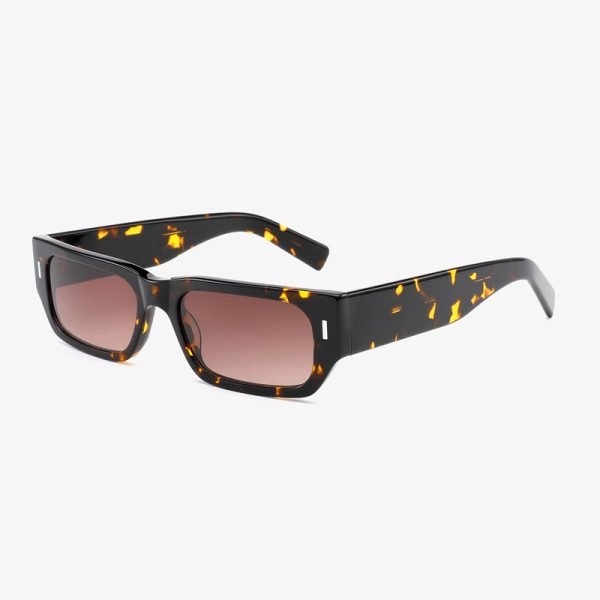 Acetate sunglasses 202503 S C5