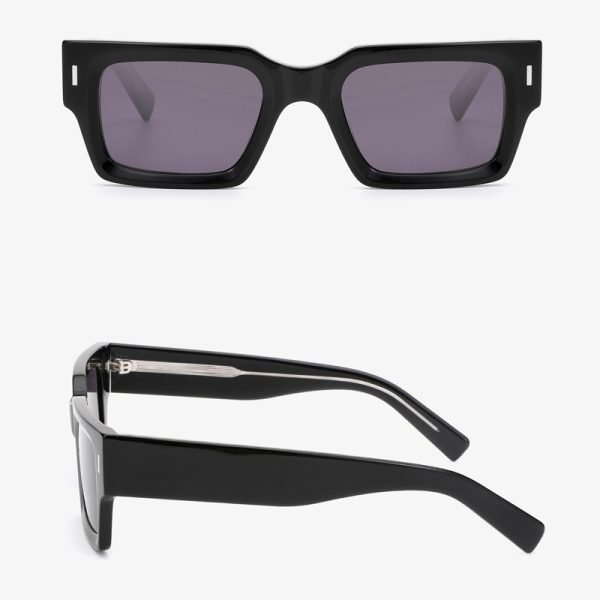 Acetate sunglasses 202504 S