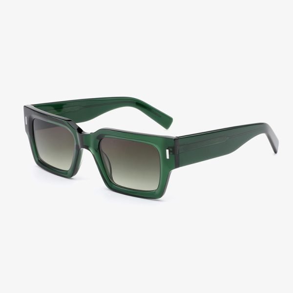 Acetate sunglasses 202504 S C2