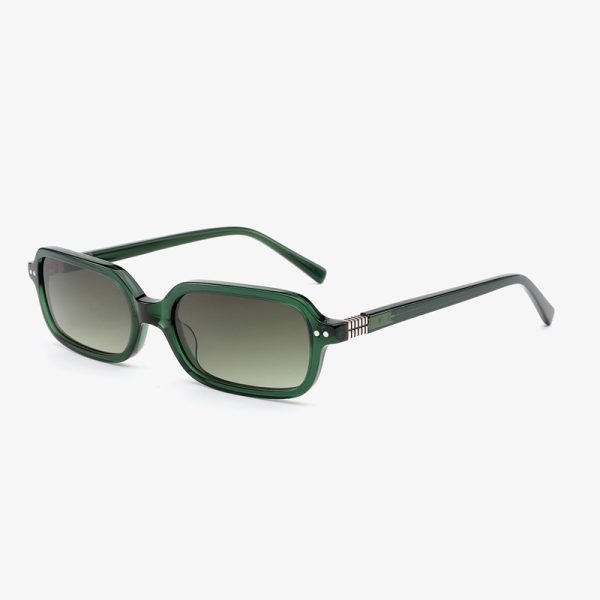 Acetate sunglasses 202508 S C3