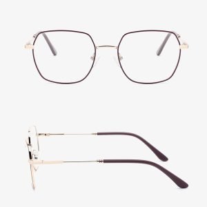 Metal optical frame WR24M044