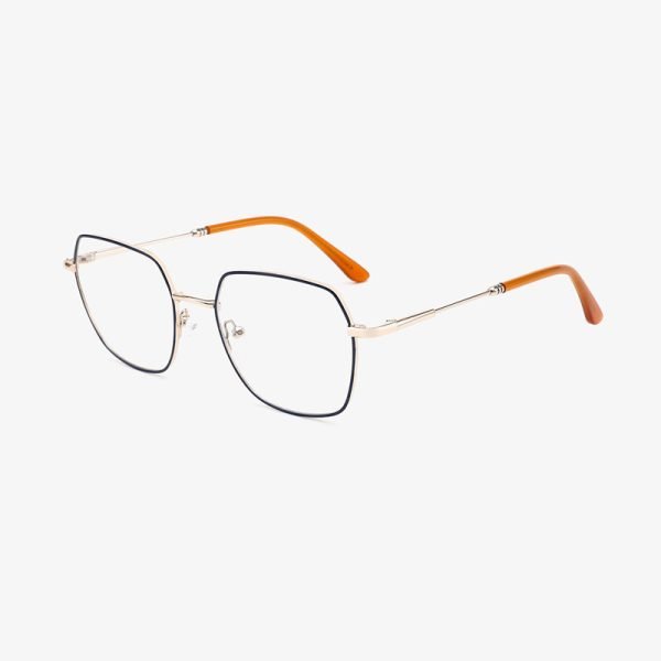 Metal optical frame WR24M044 C2