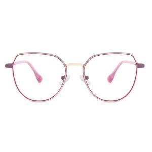 Metal optical glasses XCT804