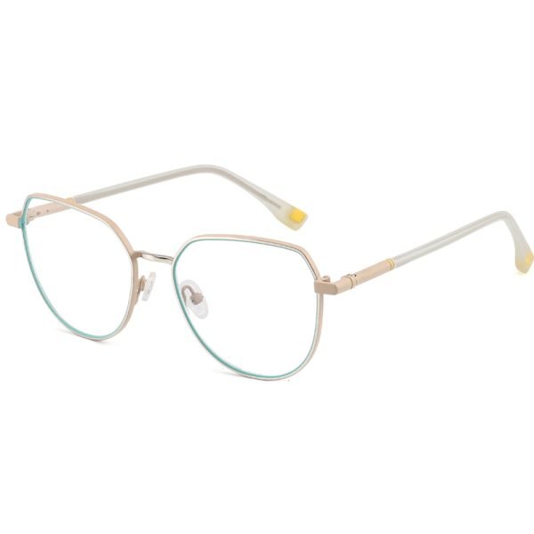 Metal optical glasses XCT804 C5