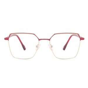 Metal optical glasses XCT817