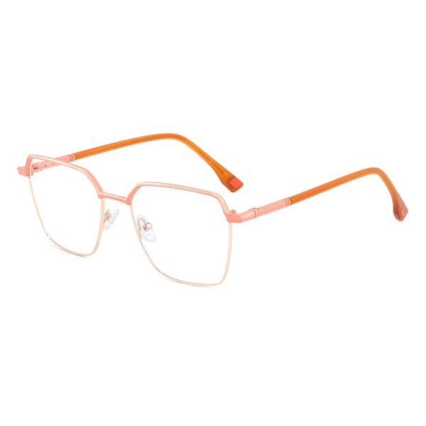 Metal optical glasses XCT817 C2