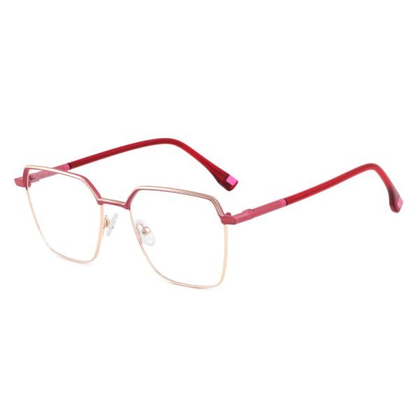 Metal optical glasses XCT817 C3