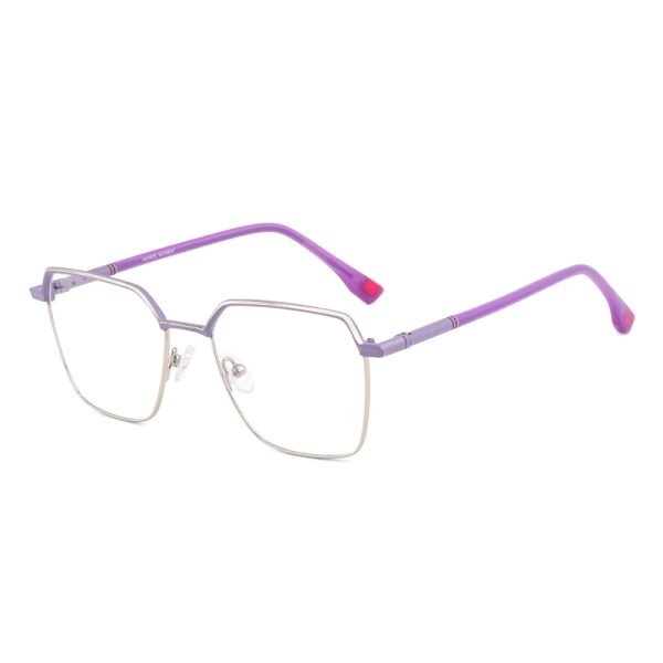 Metal optical glasses XCT817 C4