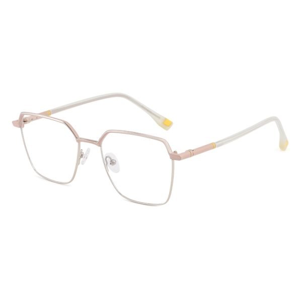 Metal optical glasses XCT817 C5