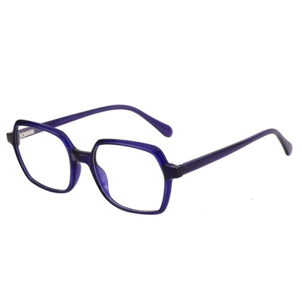Acetate Optical Frame LE002 C2
