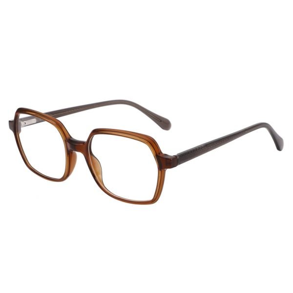 Acetate Optical Frame LE002 C5