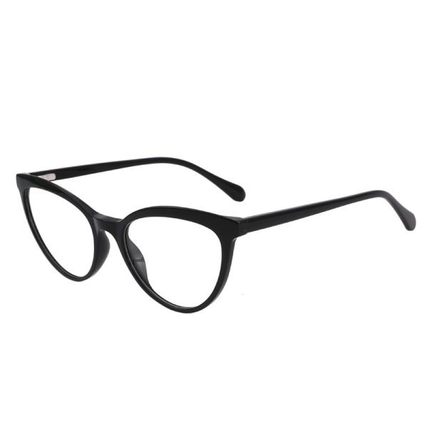 Acetate Optical Frame LE006 C1