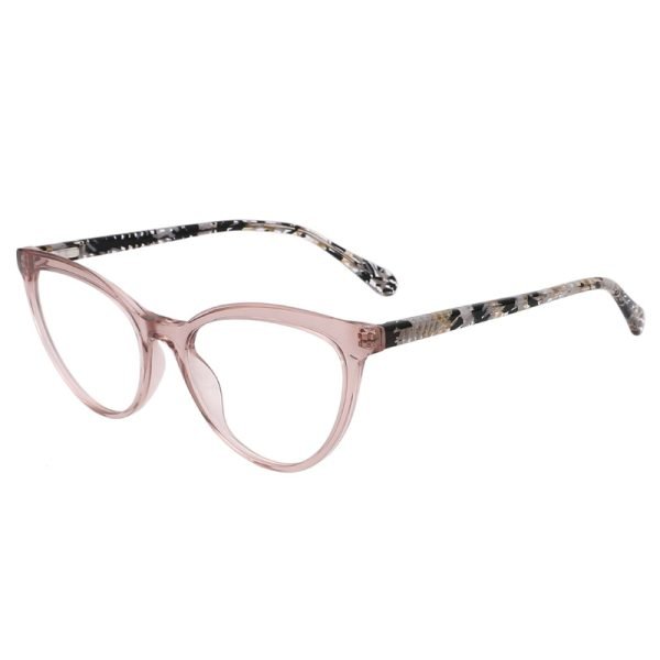 Acetate Optical Frame LE006 C2