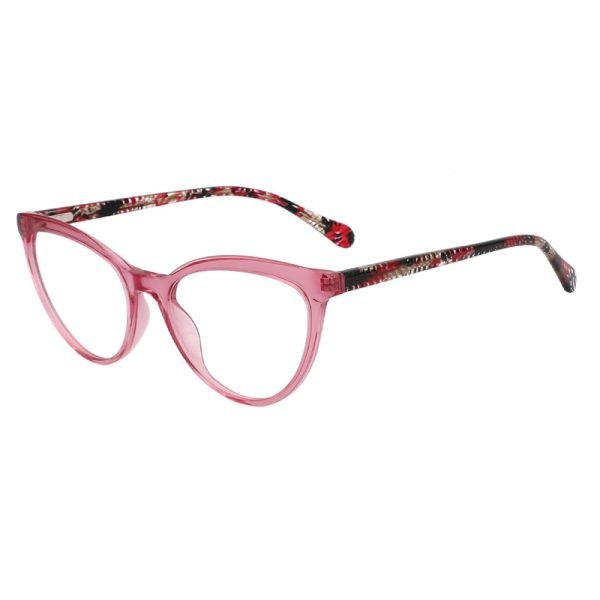Acetate Optical Frame LE006 C5