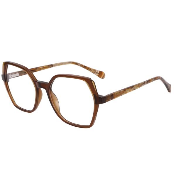 Acetate Optical Frame LE007 C2