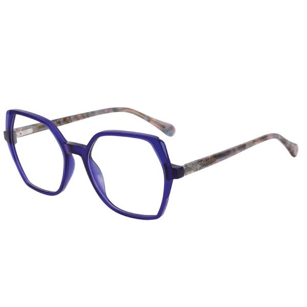 Acetate Optical Frame LE007 C5