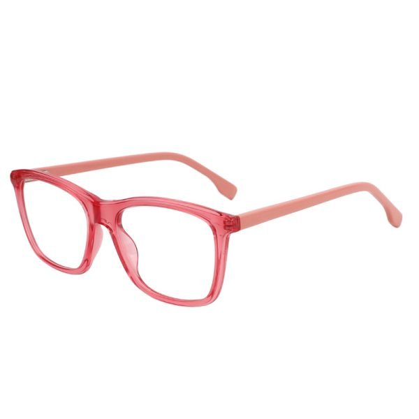 Acetate Optical Frame LE012 C2