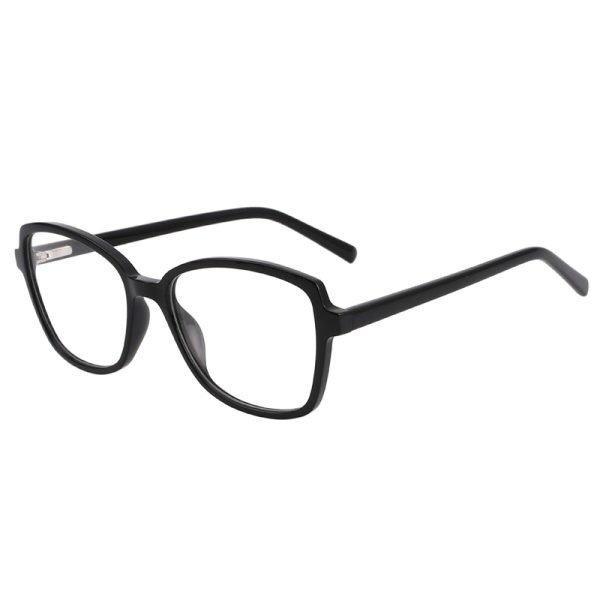 Acetate Optical Frame LE022 C1