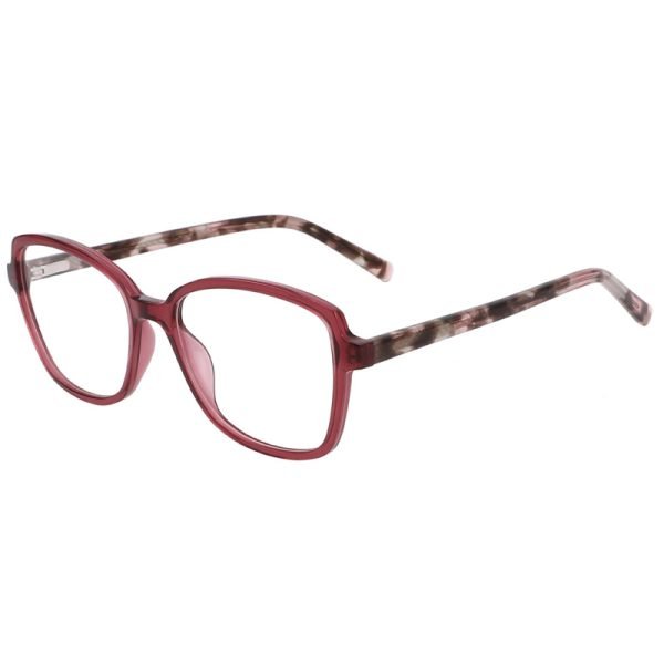 Acetate Optical Frame LE022 C2