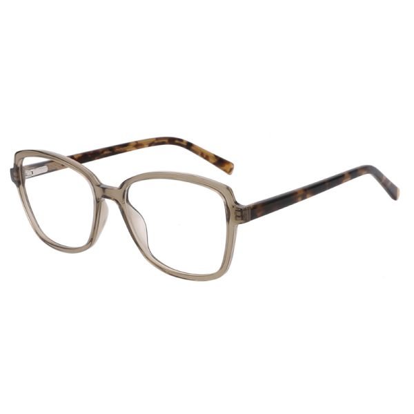 Acetate Optical Frame LE022 C4
