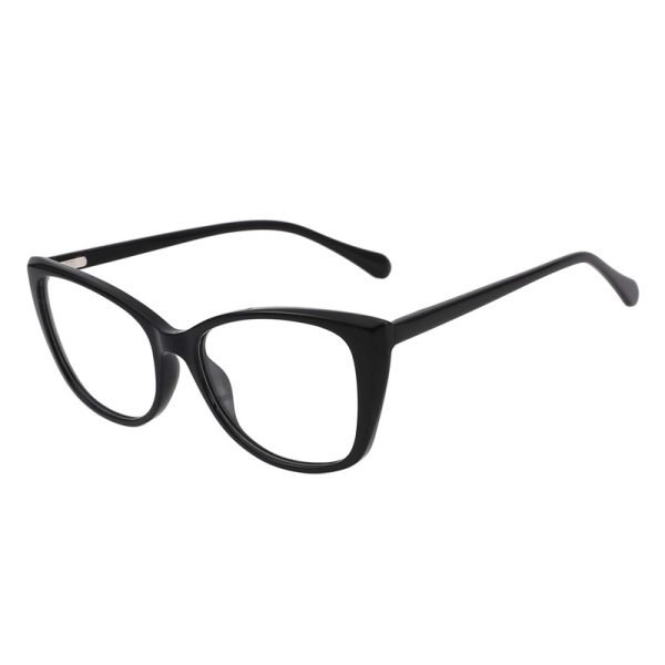 Acetate Optical Frame LE029 C1