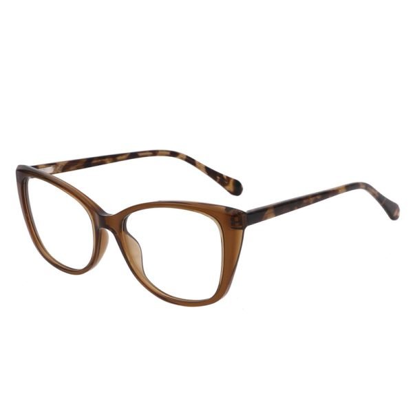 Acetate Optical Frame LE029 C5