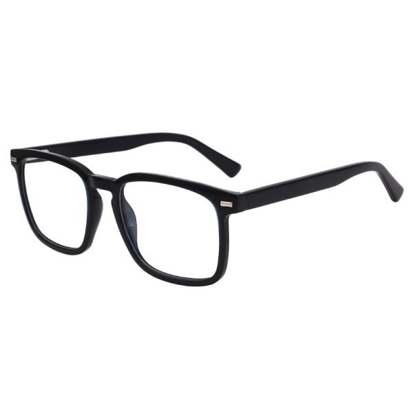Acetate Optical Frame LE031 C2
