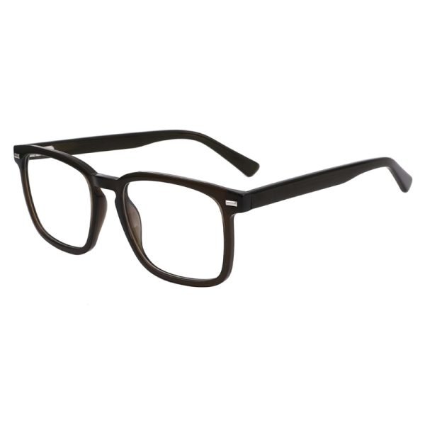 Acetate Optical Frame LE031 C3