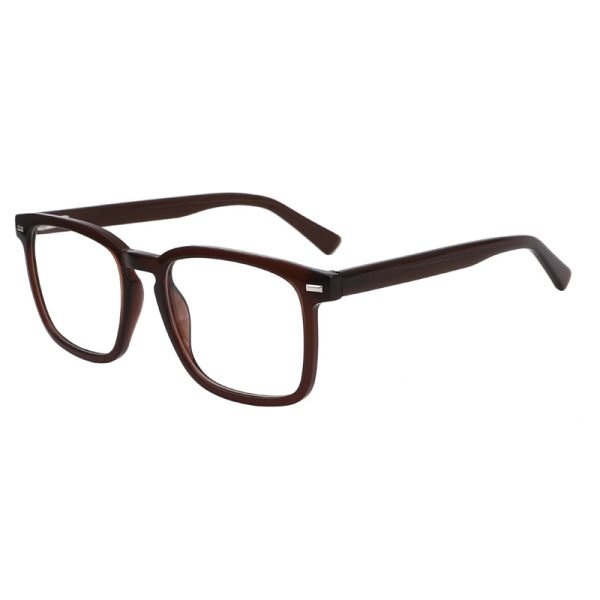Acetate Optical Frame LE031 C4