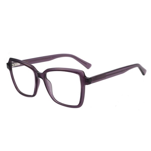 Acetate Optical Frame LE032 C2