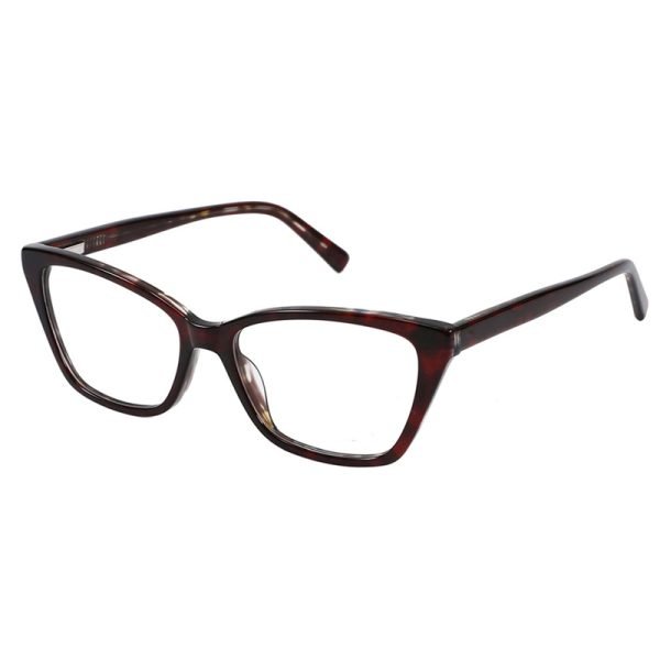 Acetate Optical Frame LG9019K C4