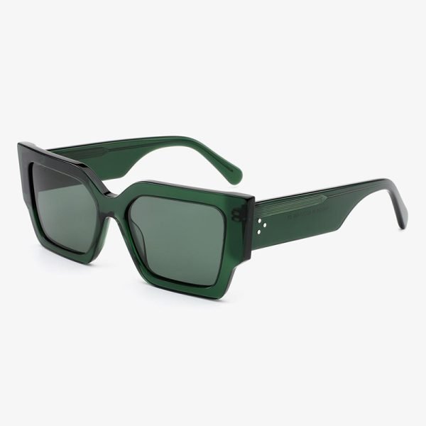 Acetate Sunglasses 202501S C5