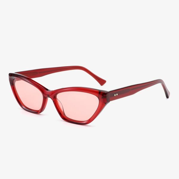 Acetate Sunglasses 202514 S C4